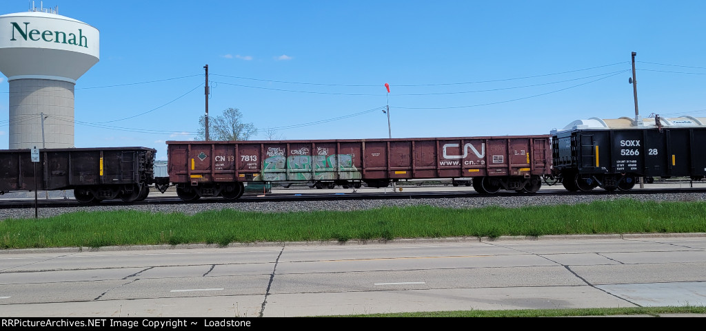 CN 137813